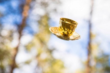 Solar Systo Togathering 2017