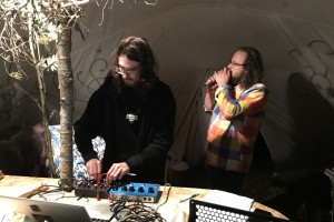 Шумы России